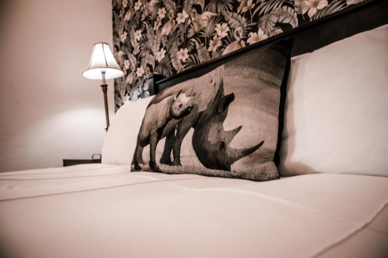 Pinehaven Bed And Breakfast Newcastle Zewnętrze zdjęcie